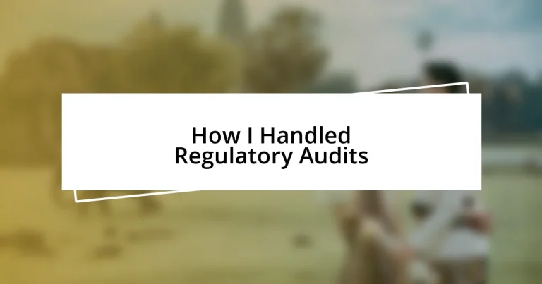 How I Handled Regulatory Audits