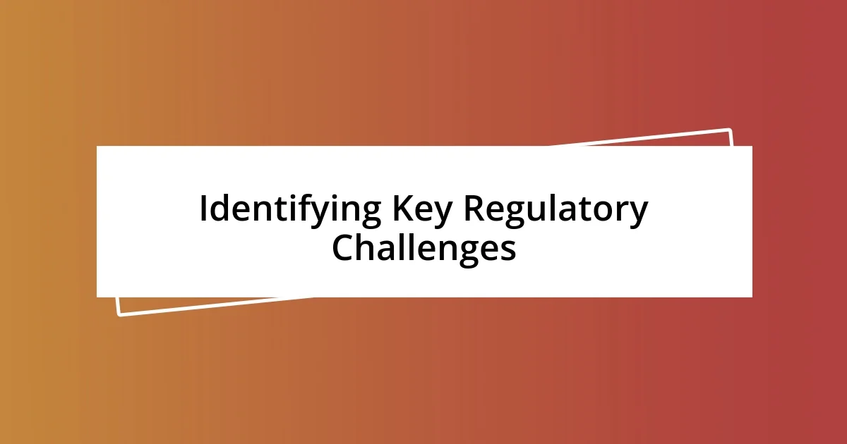 Identifying Key Regulatory Challenges