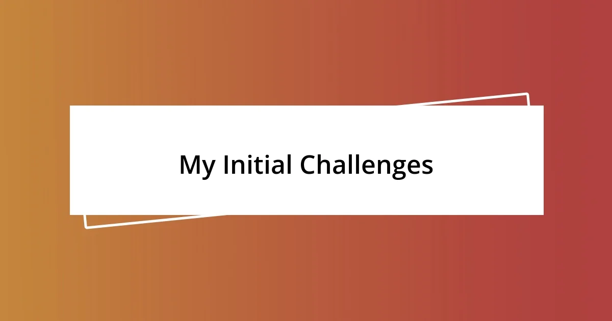 My Initial Challenges