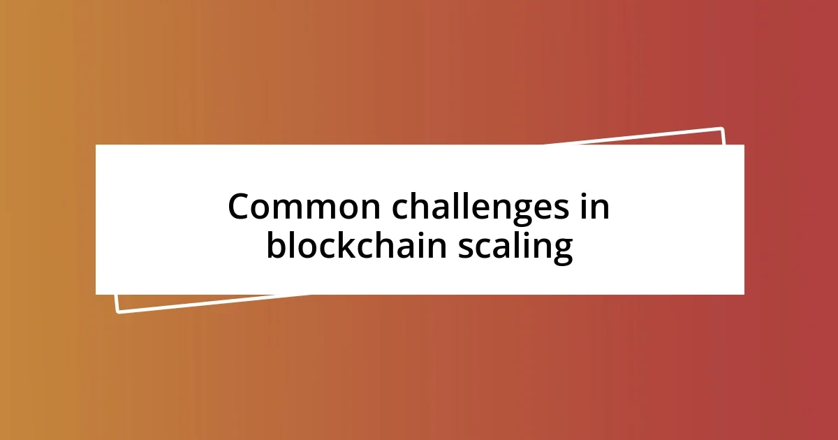 Common challenges in blockchain scaling